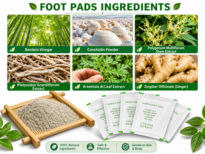 🌿 Premium Body Detox Foot Patches (Pack of 20)🔥 | BUY 1 GET 1 FREE 🔥